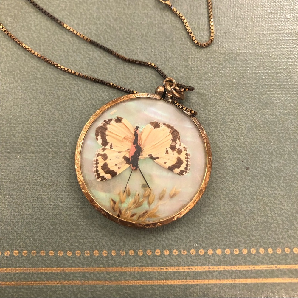 Antique moth butterfly taxidermy necklace.  Real moth - Picture 4 of 6